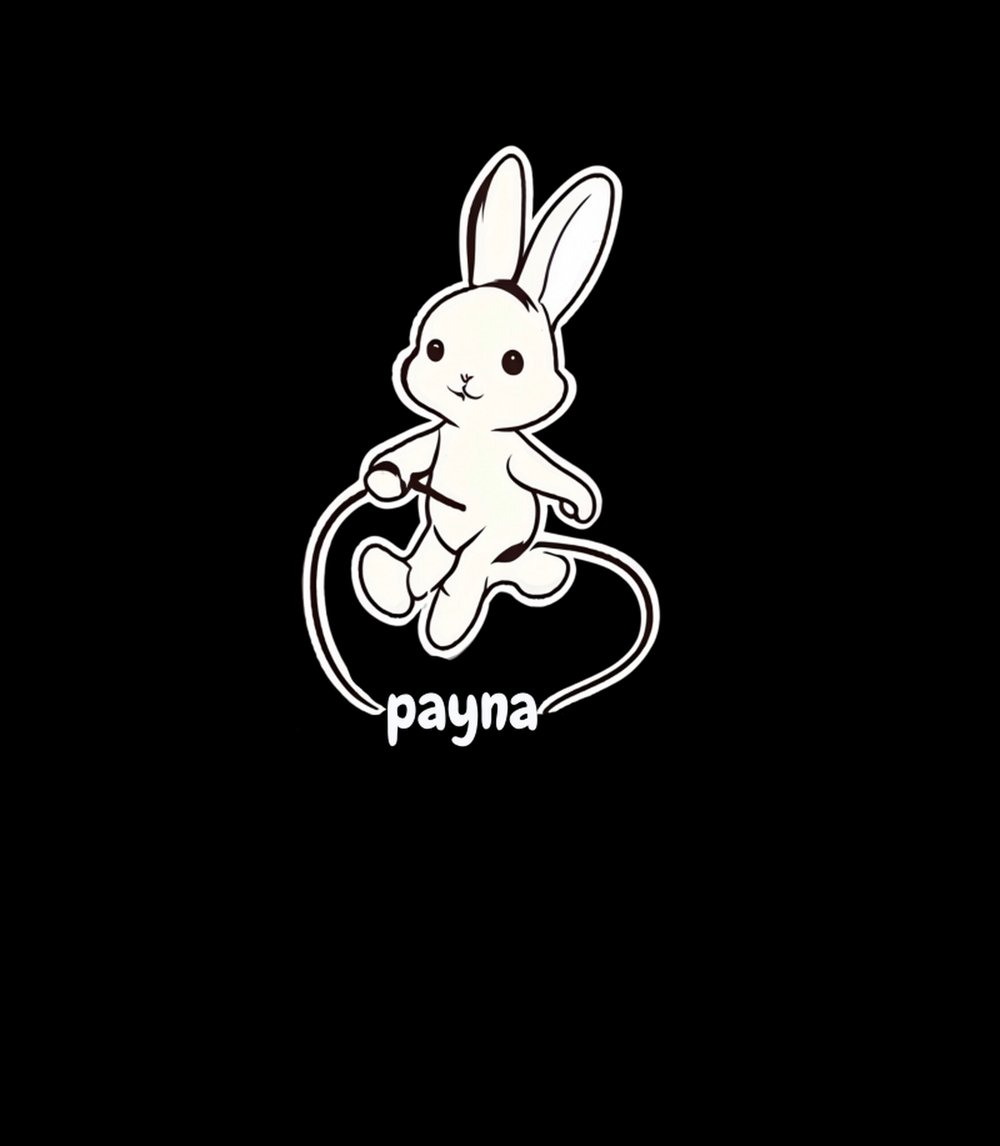 PaynaStore TShirt 8721607