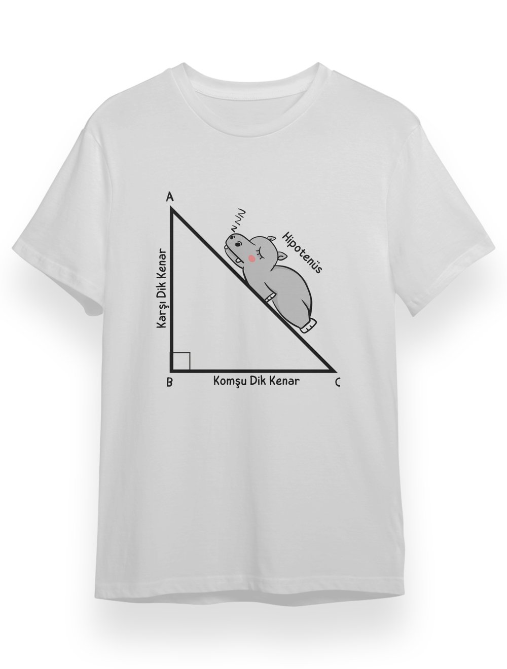 Hipotenüs Komik Matematik Öğretmeni Hediye TShirt