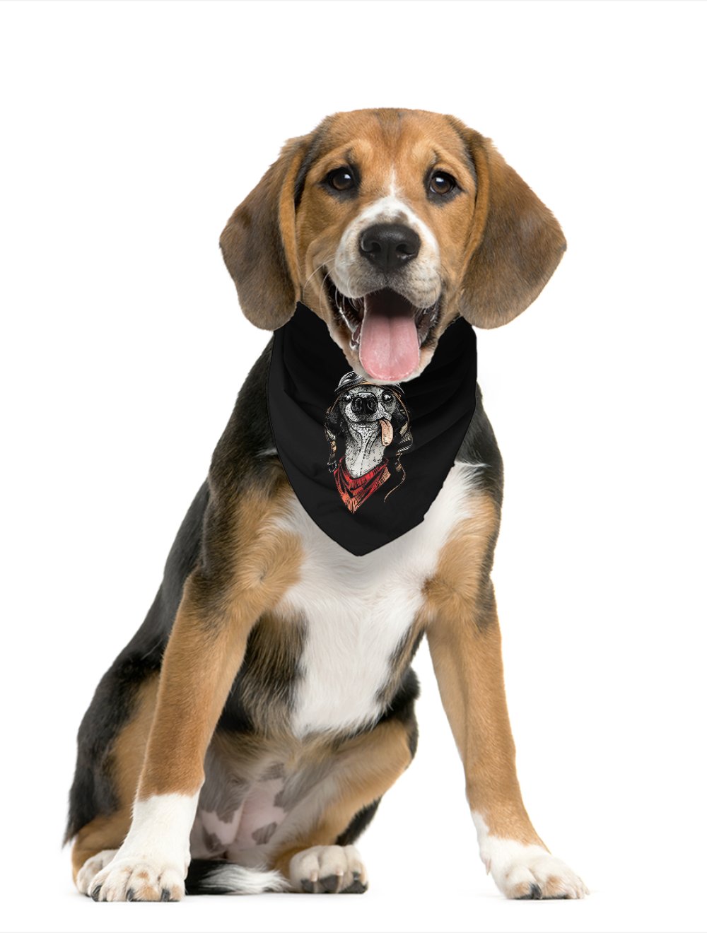 Pilot Dog Pet Bandana