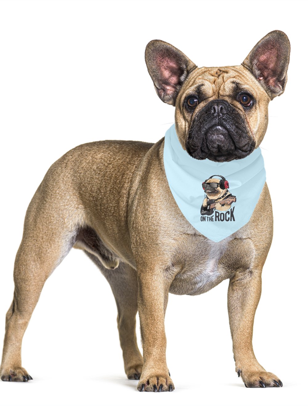 Rock Star Pet Bandana