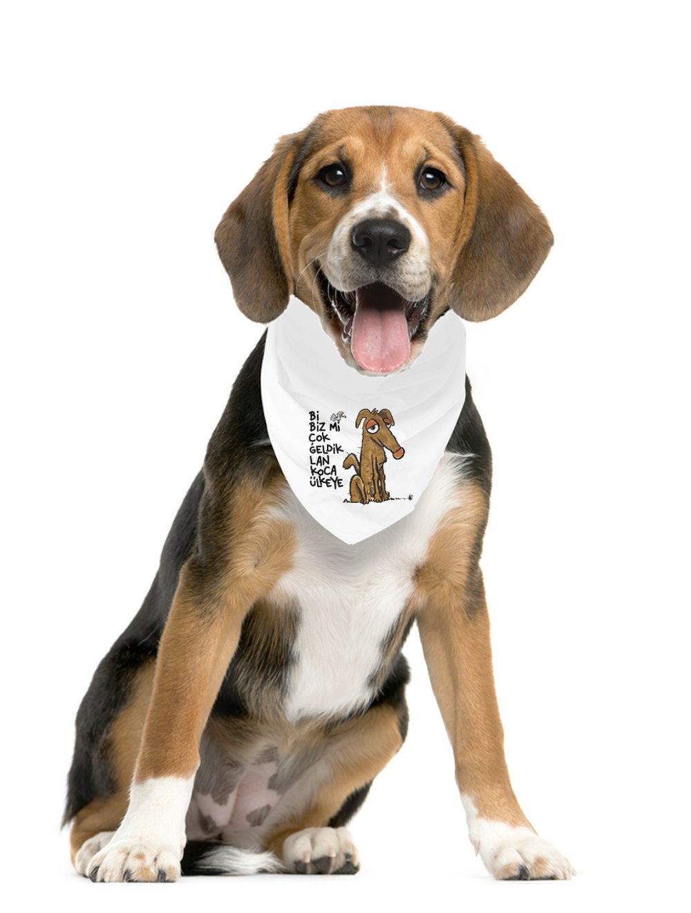 Bi Biz Mi Çok Geldik Lan Koca Ülkeye Pet Bandana