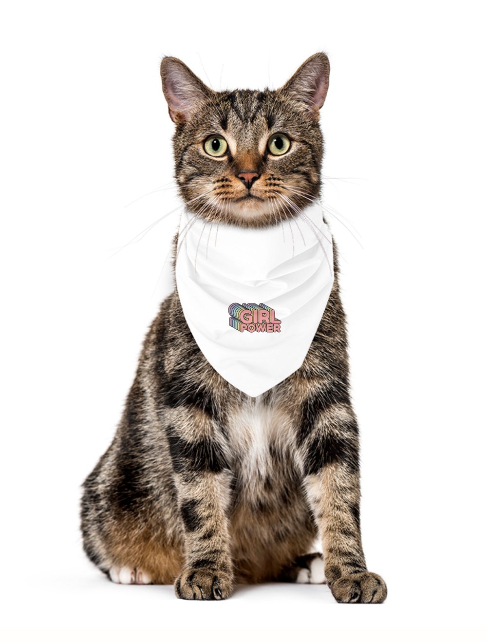 Darla Shop  Girl Power Pet Bandana 1871714