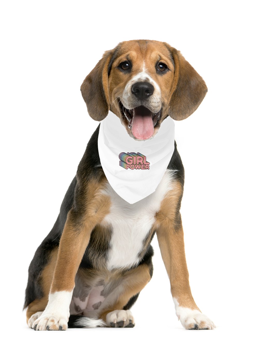 Darla Shop  Girl Power Pet Bandana 1871714