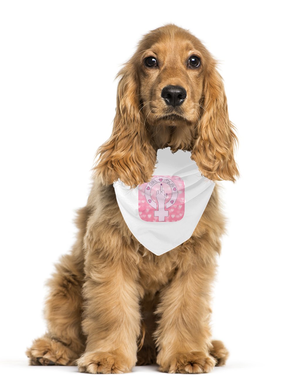 Darla Shop  Girl Power Pet Bandana 6431911