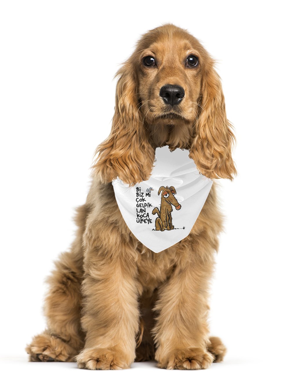 Bi Biz Mi Çok Geldik Lan Koca Ülkeye Pet Bandana