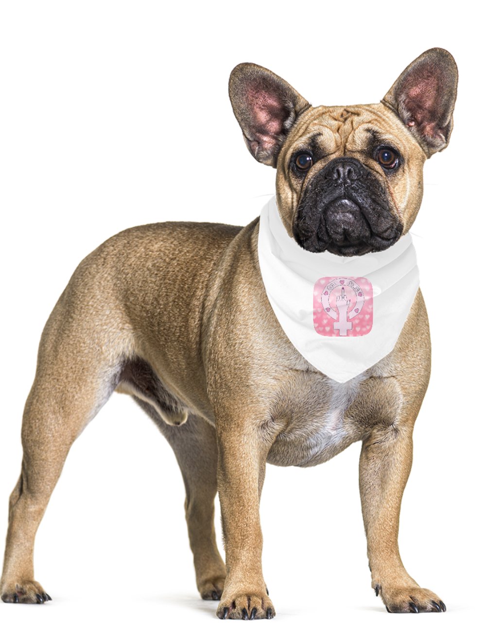 Darla Shop  Girl Power Pet Bandana 6431911