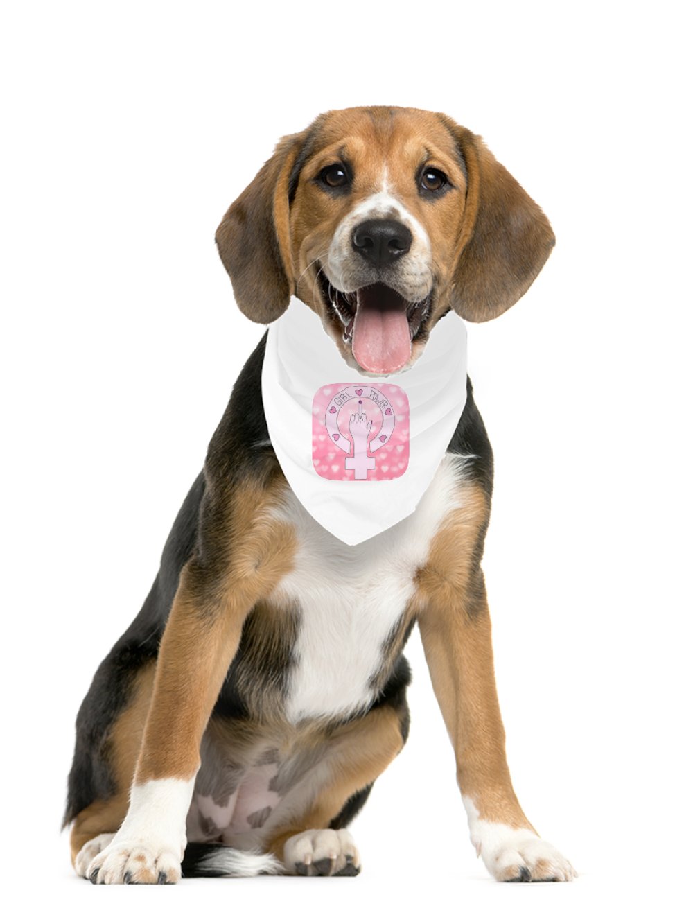 Darla Shop  Girl Power Pet Bandana 6431911