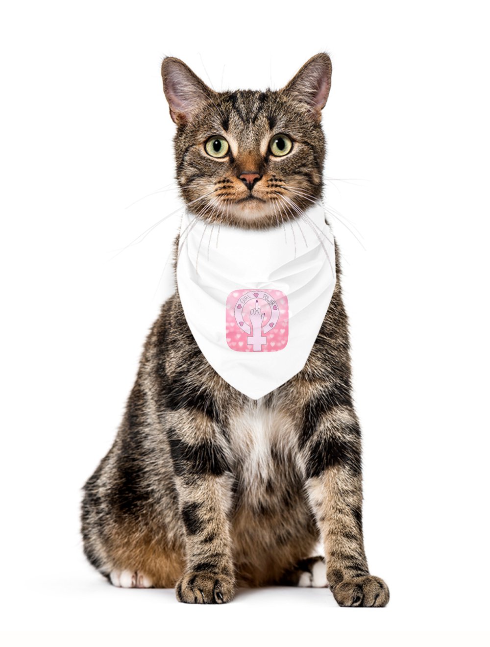 Darla Shop  Girl Power Pet Bandana 6431911