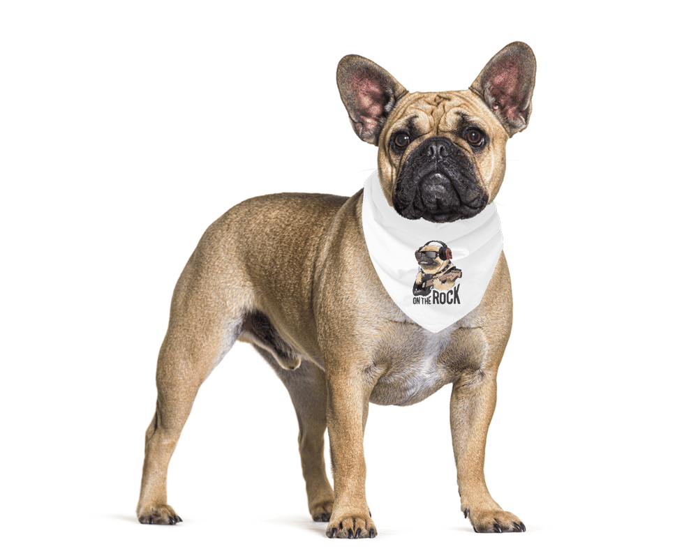 Rock Star Pet Bandana