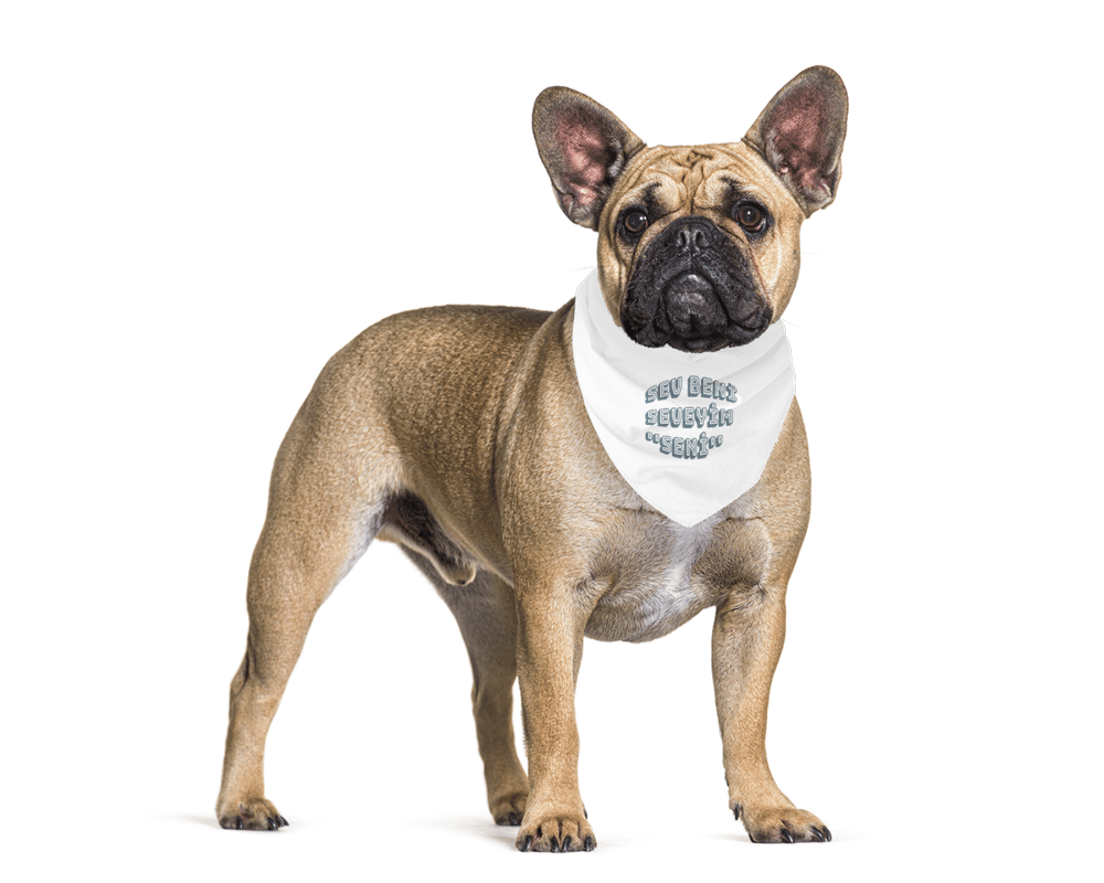 MonaSeraaShop Pet Bandana 4431857
