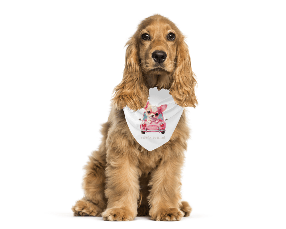 Magegi Store Pet Bandana 1301222