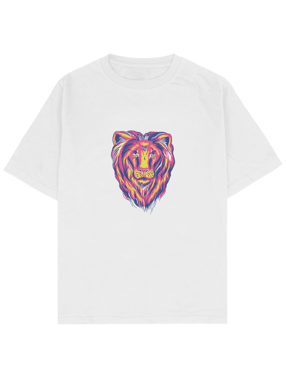 gaiety Oversize TShirt 5011902