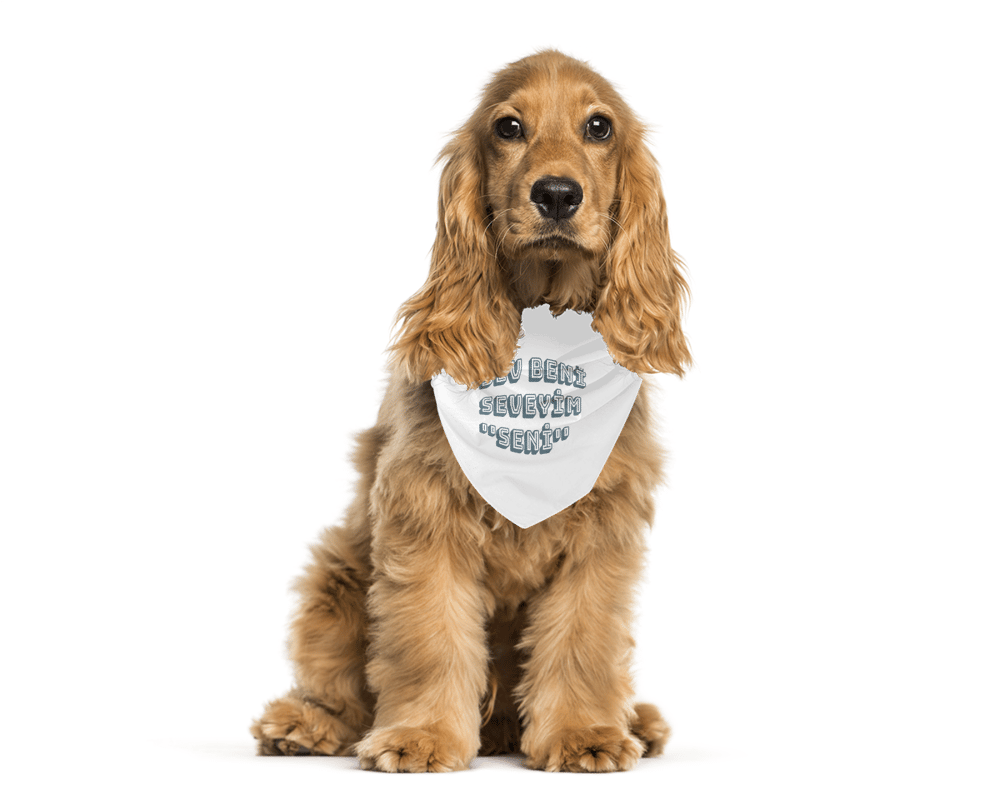MonaSeraaShop Pet Bandana 4431857