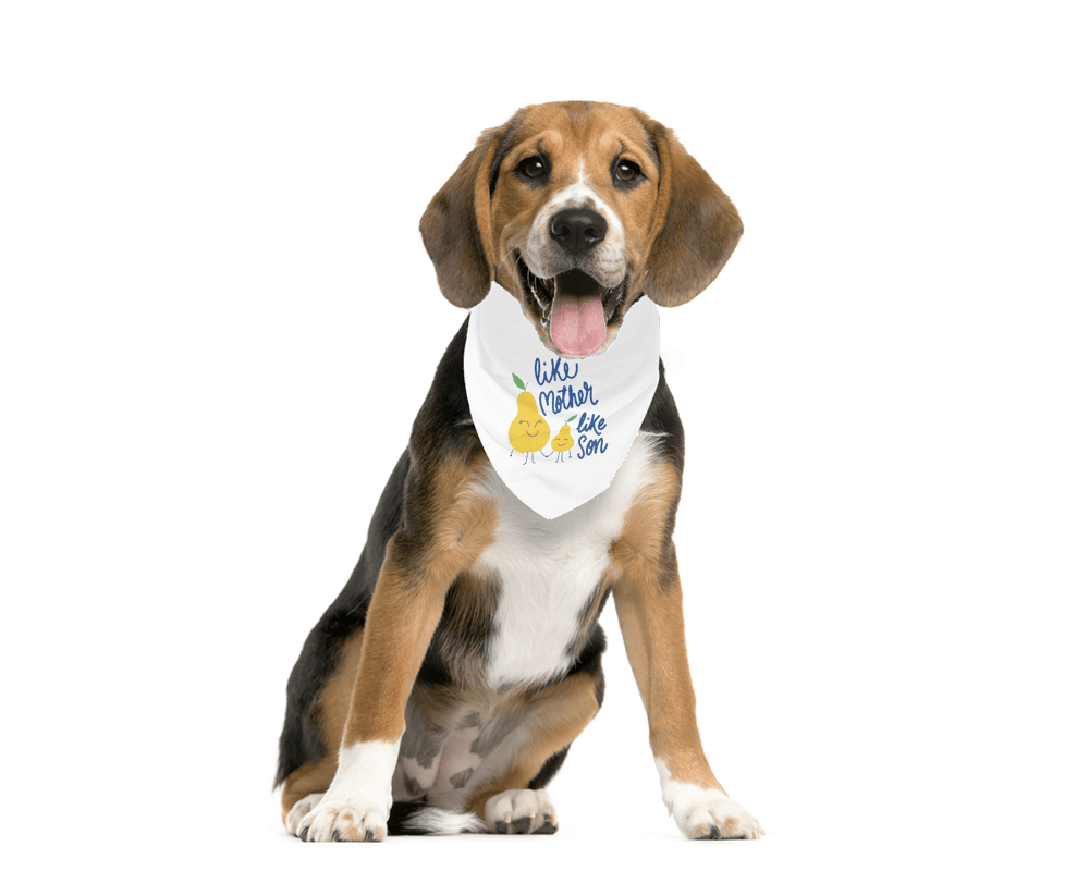 MonaSeraaShop Pet Bandana 6601853