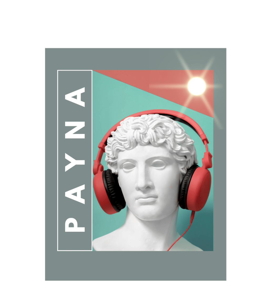 Payna TShirt 1942018