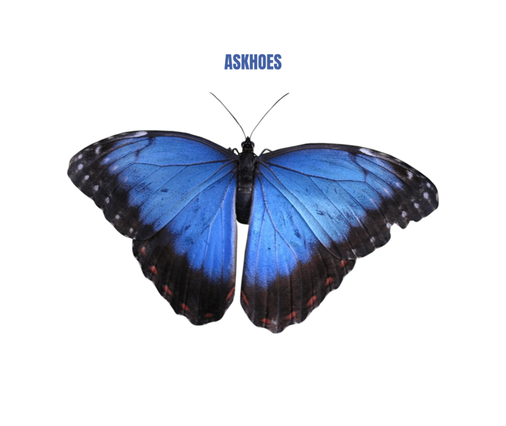 ASKHOES Podcast Crop Top 7821518