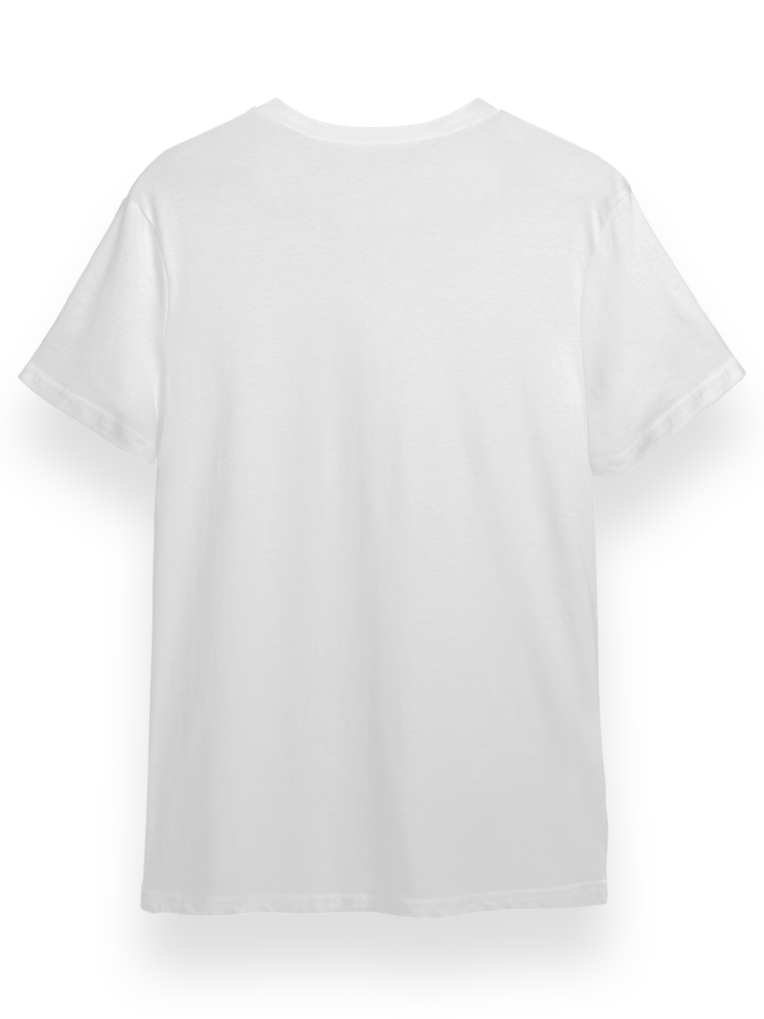 SOF HARP Koleksiyonu TShirt