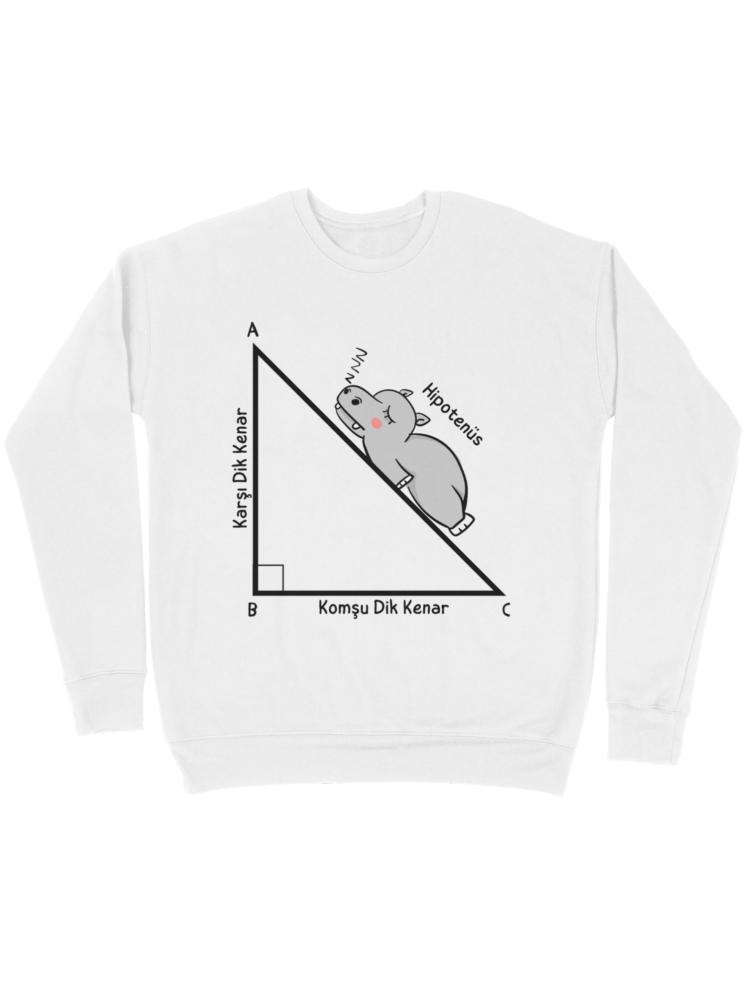 Matematik Giyim Sweatshirt