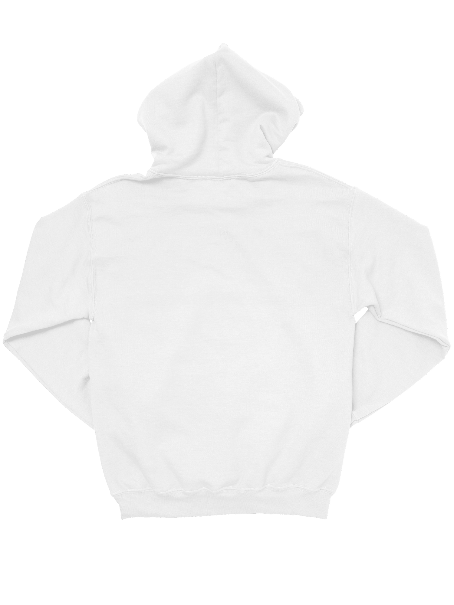 Şampiyon Oversize Hoodie Siyah