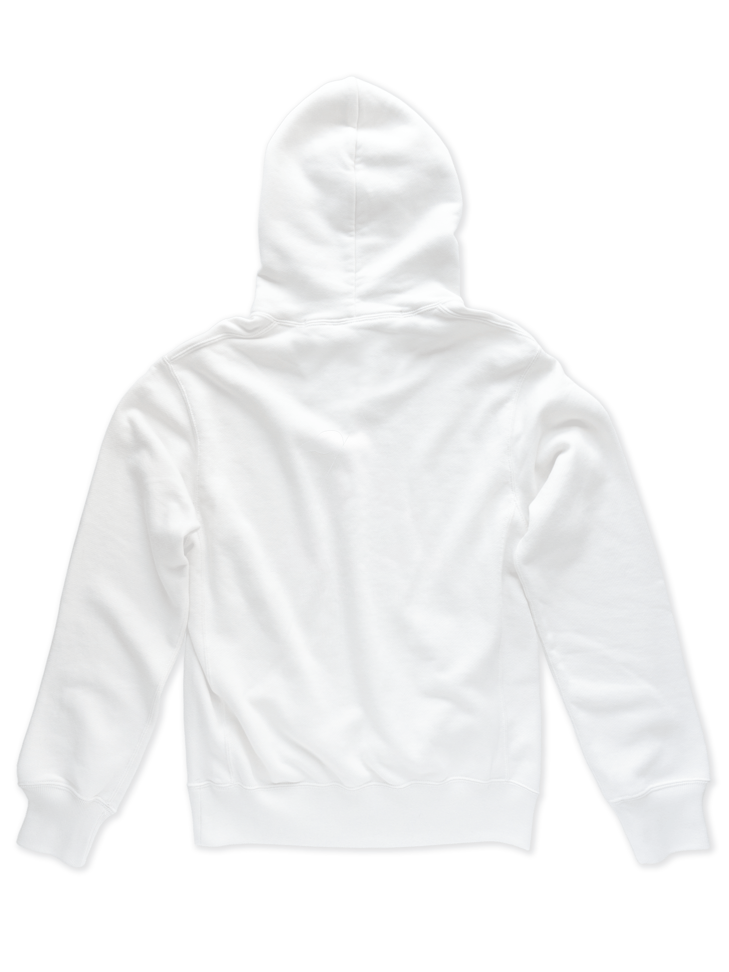 eVecom Hoodie