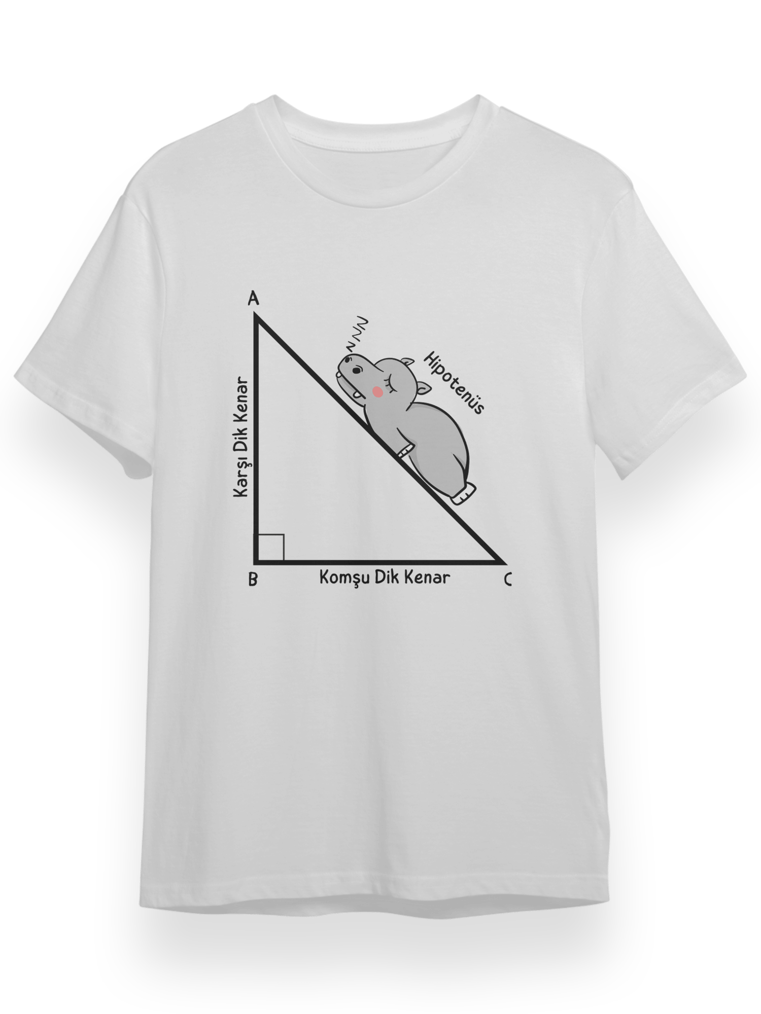Hipotenüs Komik Matematik Öğretmeni Hediye TShirt