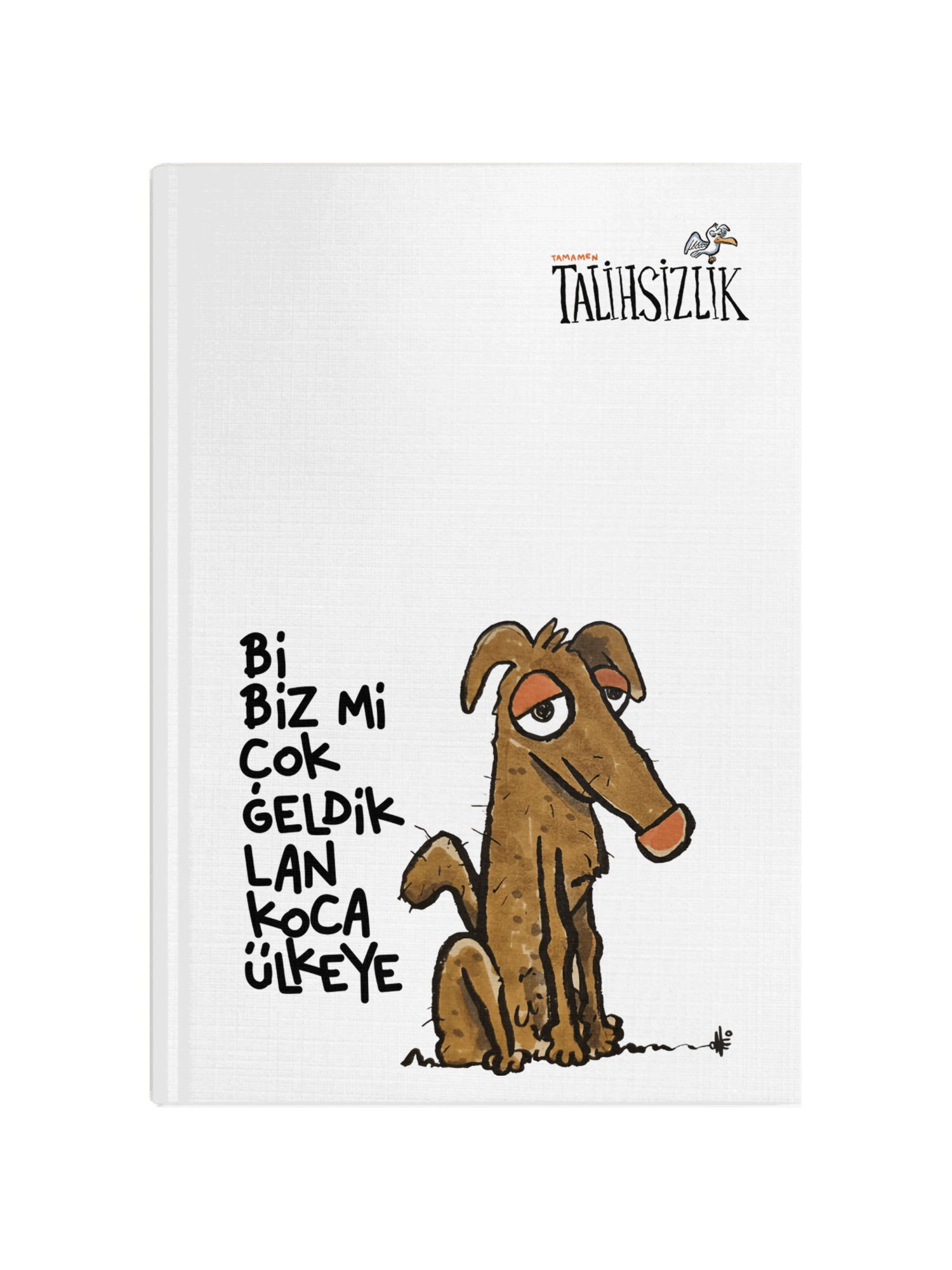 Bi Biz Mi Çok Geldik Lan Koca Ülkeye Defter