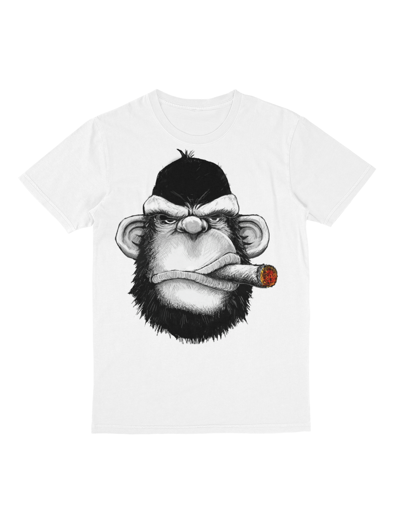 BORJELLE Easy Collection