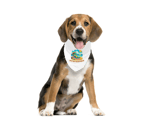 Fethiyesaurus Pet Bandana 5410210