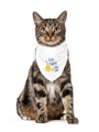 MonaSeraaShop Pet Bandana 6601853