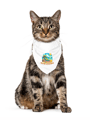 Fethiyesaurus Pet Bandana 5410210