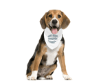 MonaSeraaShop Pet Bandana 4431857